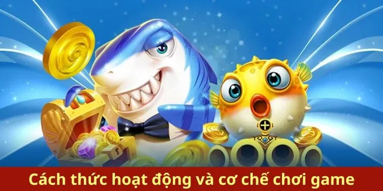 Bí Kíp Bắn Cá Royal Fishing Tại TK88 Săn Thưởng Jackpot Cực Dễ 2 Bí Kíp Bắn Cá Royal Fishing Tại TK88 Săn Thưởng Jackpot Cực Dễ