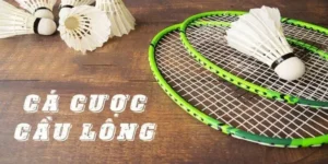 Bắt Trọn Kèo Thơm Cách Chơi Cá Cược Cầu Lông Tại TK88 Thắng Lớn