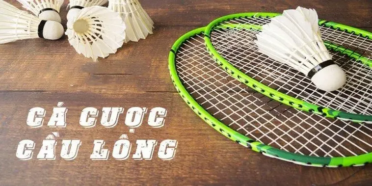 Bắt Trọn Kèo Thơm Cách Chơi Cá Cược Cầu Lông Tại TK88 Thắng Lớn